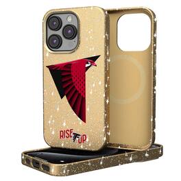 Keyscaper - NFL - Atlanta Falcons 2024 Illustrated Limited Edition Bling iPhone Case - 14 - Gold