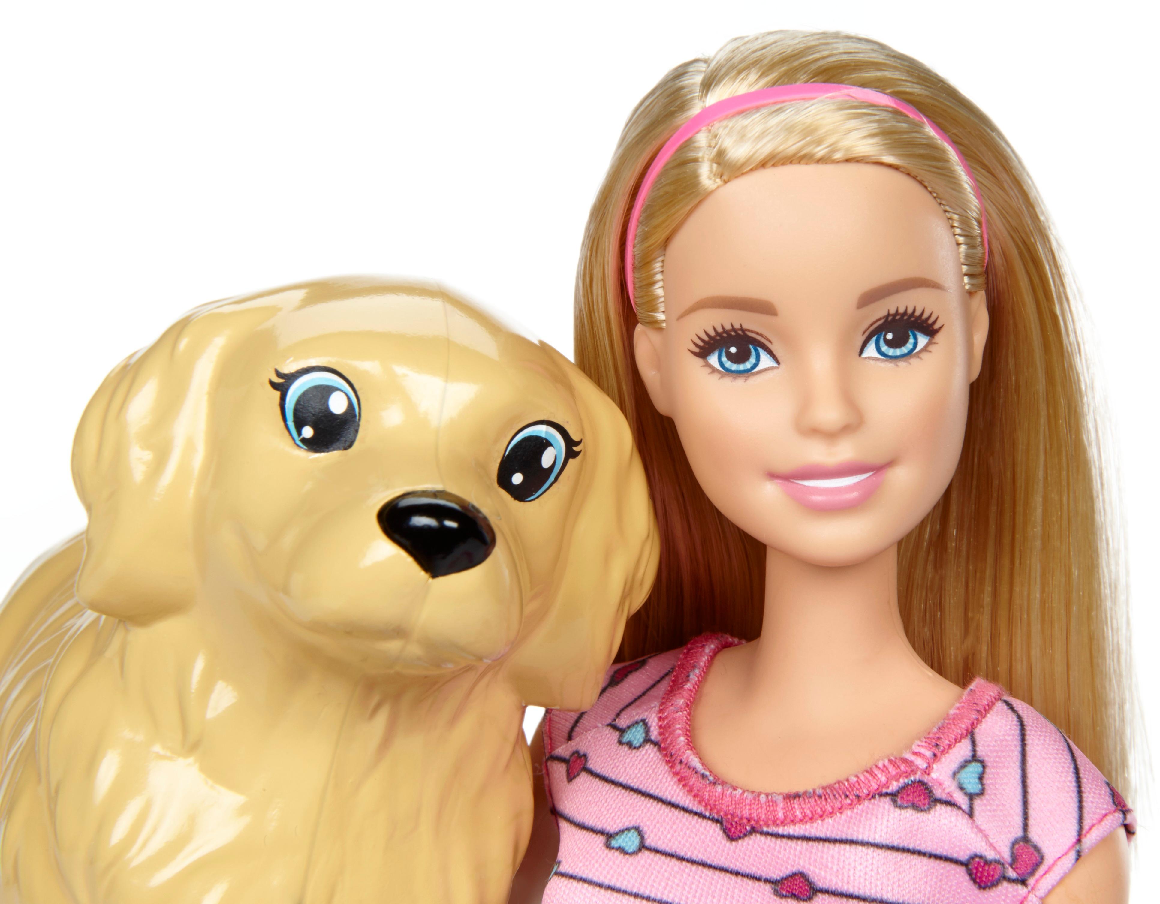Acrobatiek Kleverig legaal Best Buy: Barbie Newborn Pups Doll & Pets FDD43