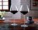 Alt View Zoom 11. Ullo - Wine Purifier + 2x ANGSTROM Wine Glasses - Clear.