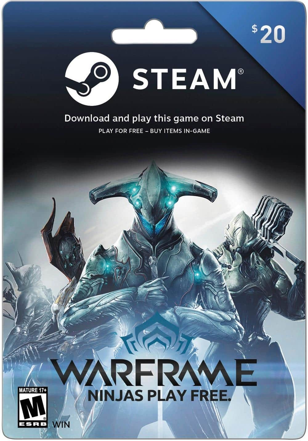 Steam $60.00 Physical Gift Cards (3 pack of $20.00 Cards), Valve