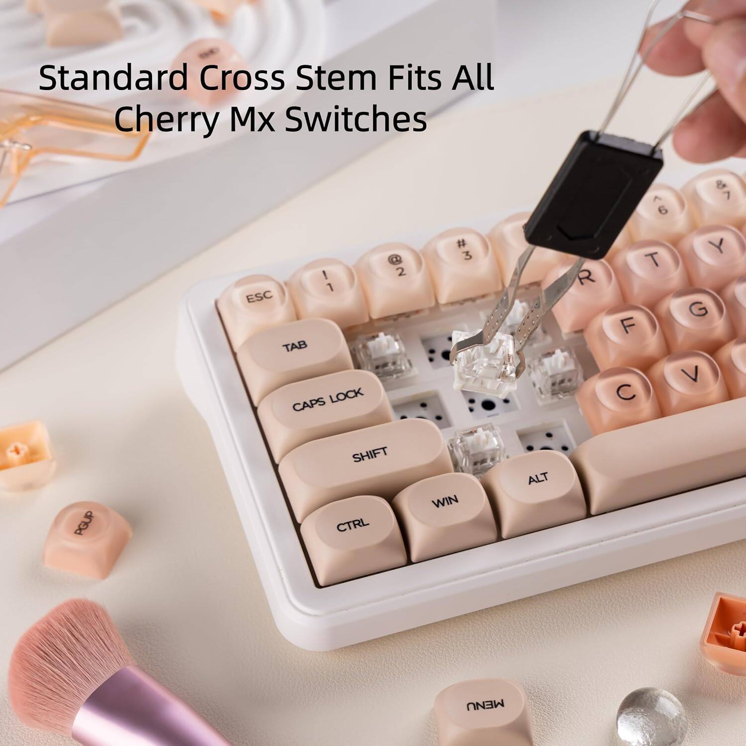 Standard Cross Stem Fits All Cherry Mx Switches

^ 6
& 7
! 1 ESC TAB CAPS LOCK
2
# 3
R
T F 
Y G V
PGUP
SHIFT CTRL
WIN
ALT
MENU