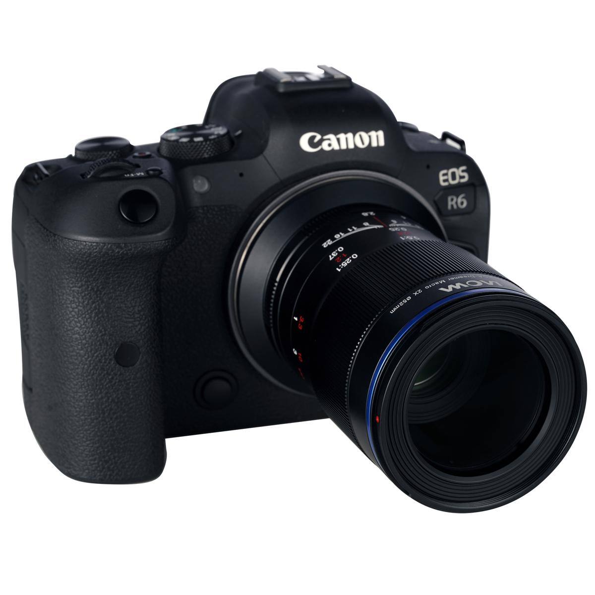 Canon EOS R6 W - 968 is 0.97 0.25:1 Masto Non GANZSO 3.3