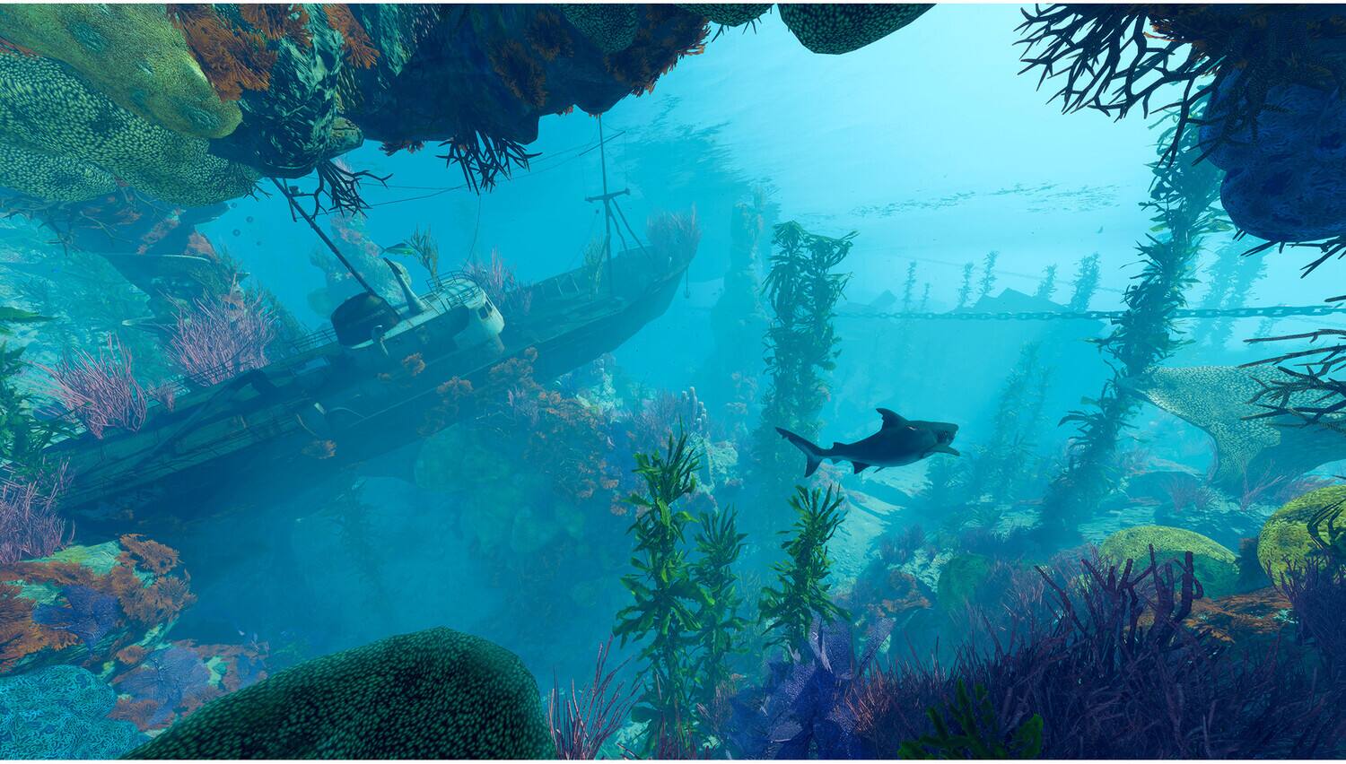 Alt View 2. PLAION - XBox - Maneater for Xbox Series X   - VIDEOGAMES.