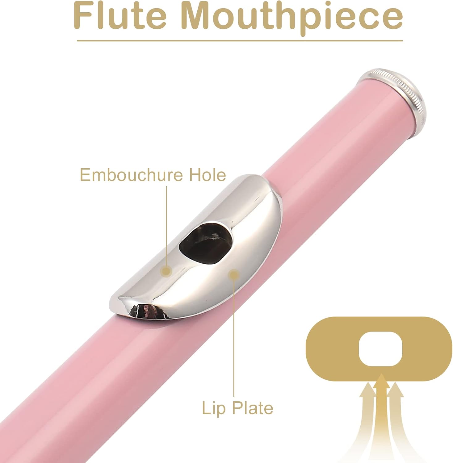 Flute Mouthpiece

Embouchure Hole

Lip Plate