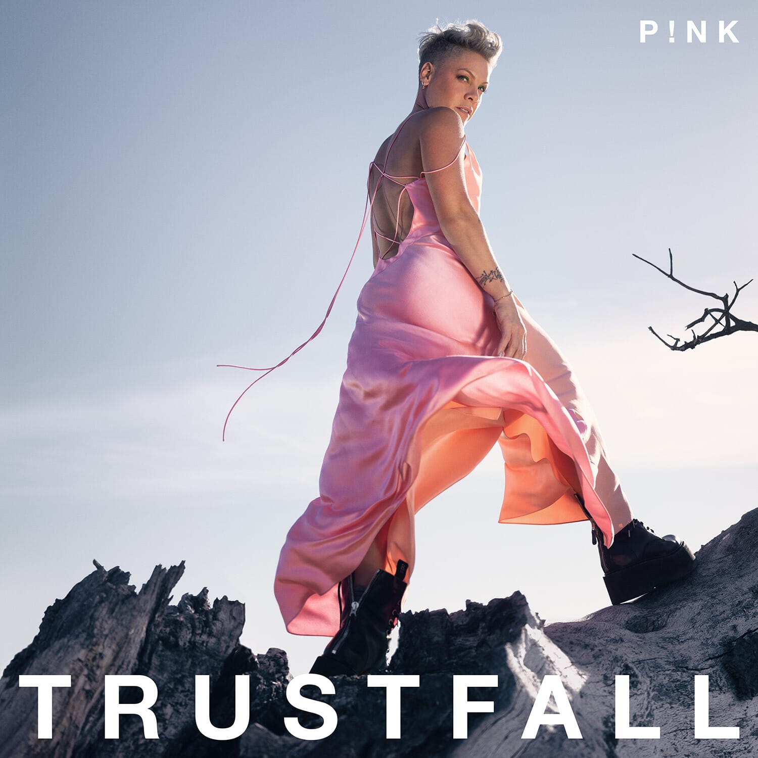 Pink - Trustfall   - COMPACT DISCS [CD] price history on PriceWatchPro