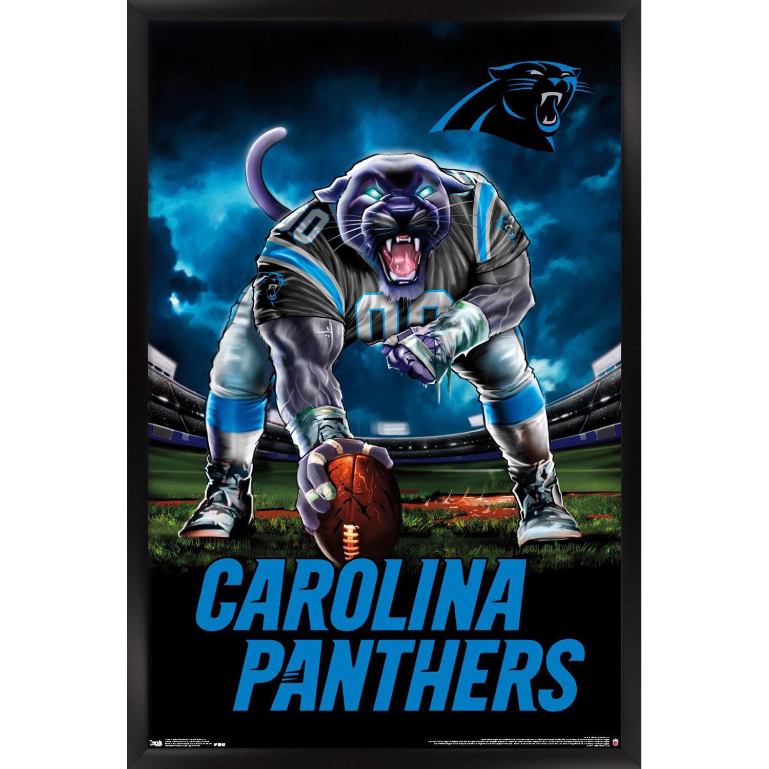 Carolina Panthers 24.25'' x 35.75'' Framed Mascot Poster