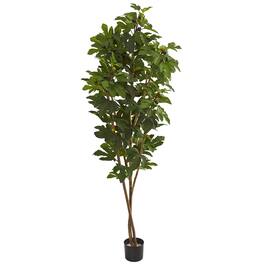 BreeBe - 81" Fig Artificial Tree - Green