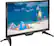 Angle. Insignia™ - 19" Class LED HD TV - Black.