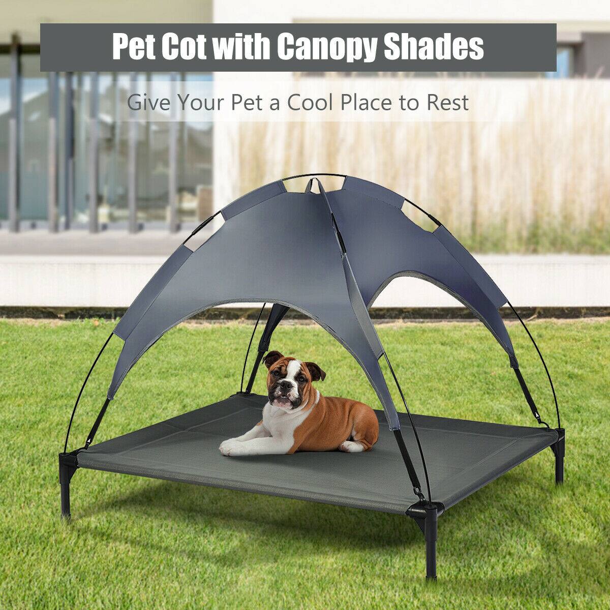 Pet Cot with Canopy Shades  
Give Your Pet a Cool Place to Rest