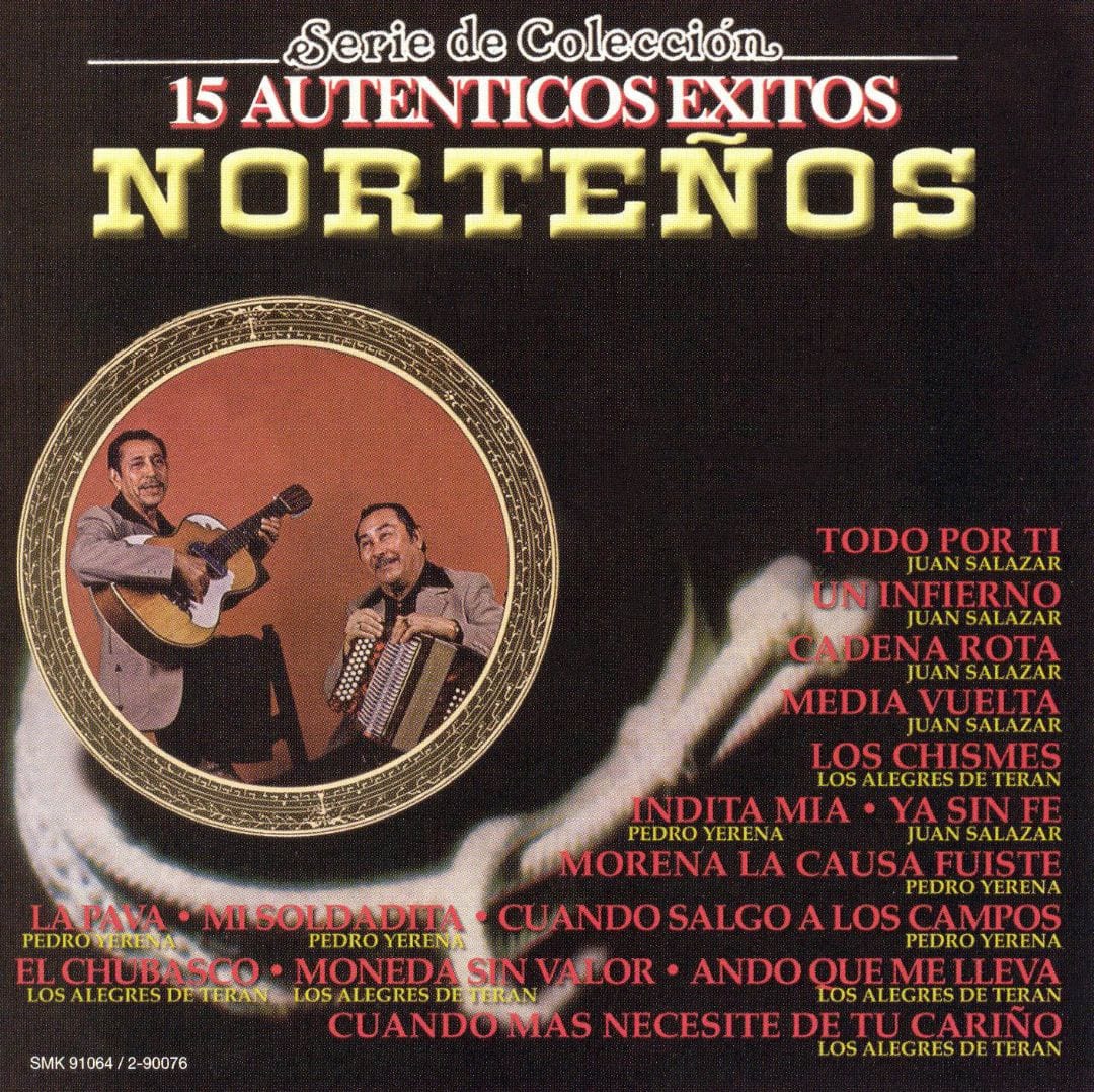 Best Buy: 20 Autenticos Exitos Nortenos: Serie de Coleccion [CD]