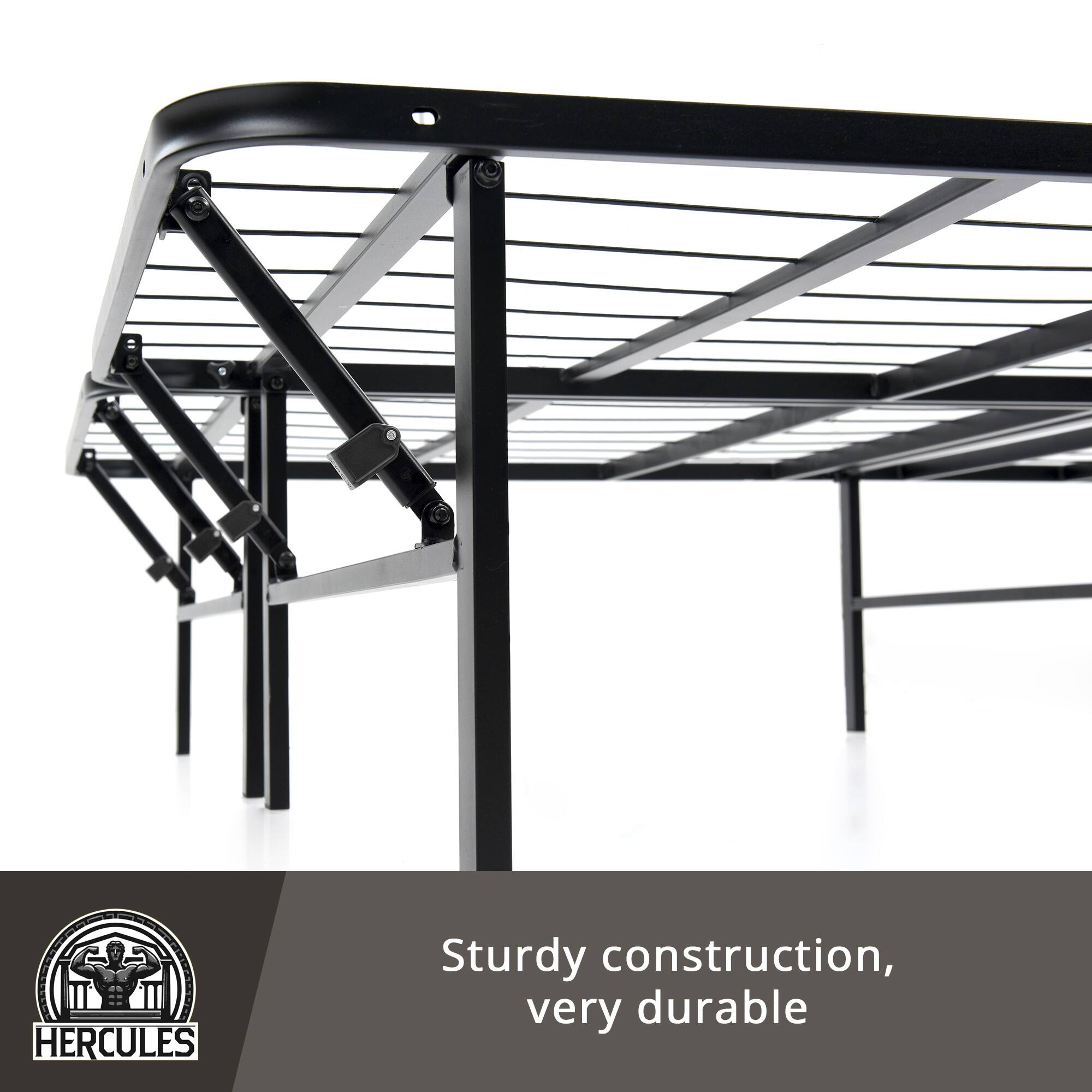 HERCULES  
Sturdy construction, very durable