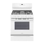 Best Buy: Frigidaire Gallery 5.0 Cu. Ft. Self-Cleaning Freestanding Gas ...