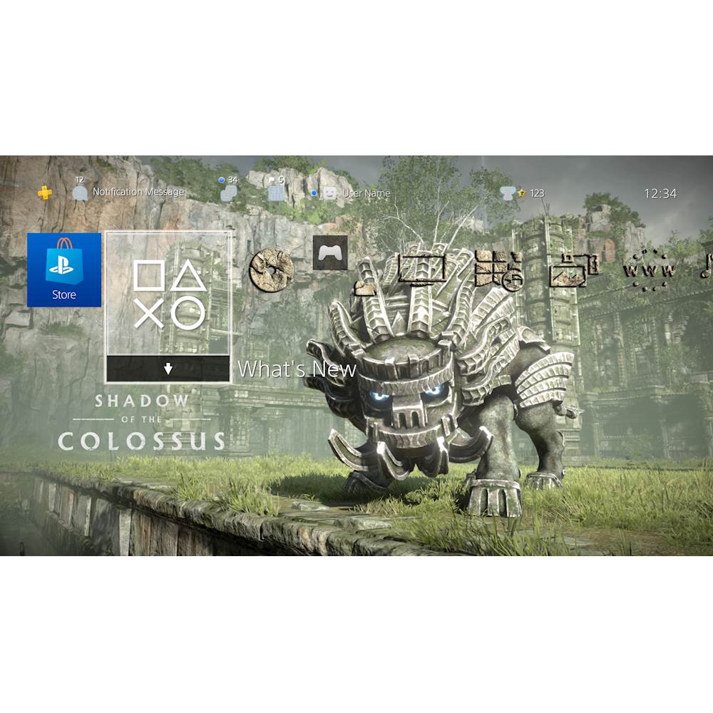 SHIPS SAME DAY Rare GameStop Display Shadow Of The Colossus PS4 Cover Art  Only