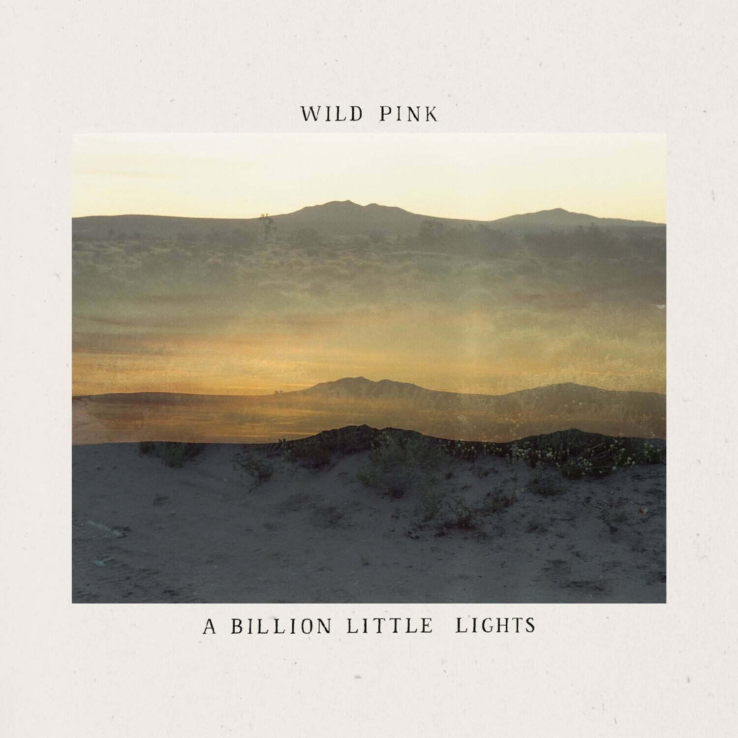 Wild Pink - A Billion Little Lights - VINYL LP