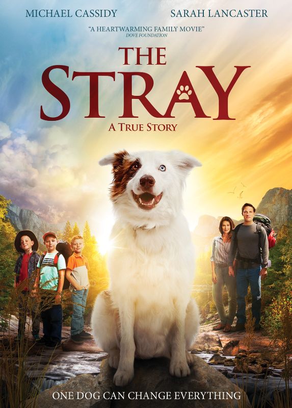  The Stray [DVD] [2017]