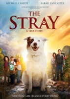 The Stray [DVD] [2017] - Front_Original