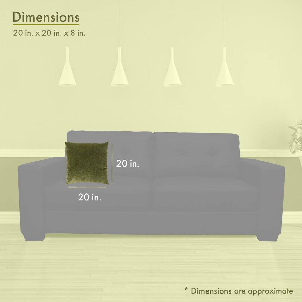 Dimensions  
20 in. x 20 in. x 8 in.  

20 in.  
20 in.  

*Dimensions are approximate