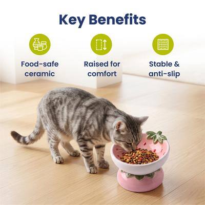 Key Benefits

- Food-safe ceramic
- Raised for comfort
- Stable & anti-slip