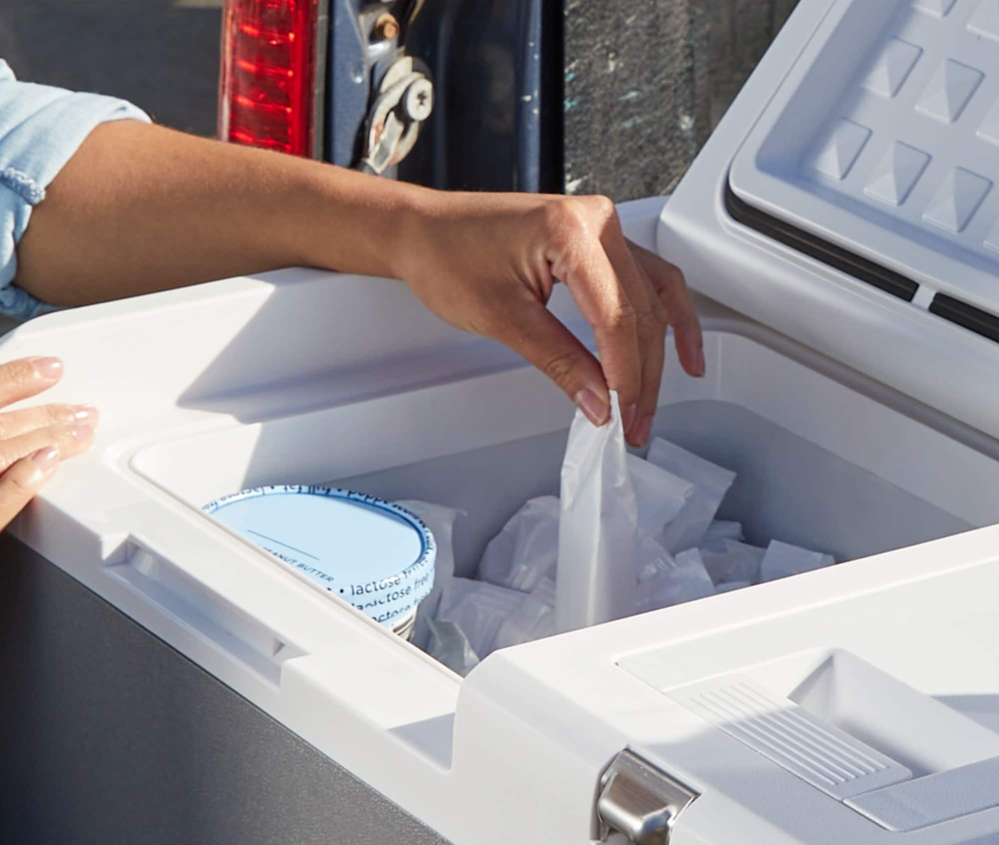 Alt View 21. WORX - 20V Battery Powered & Electric Cooler - Black.