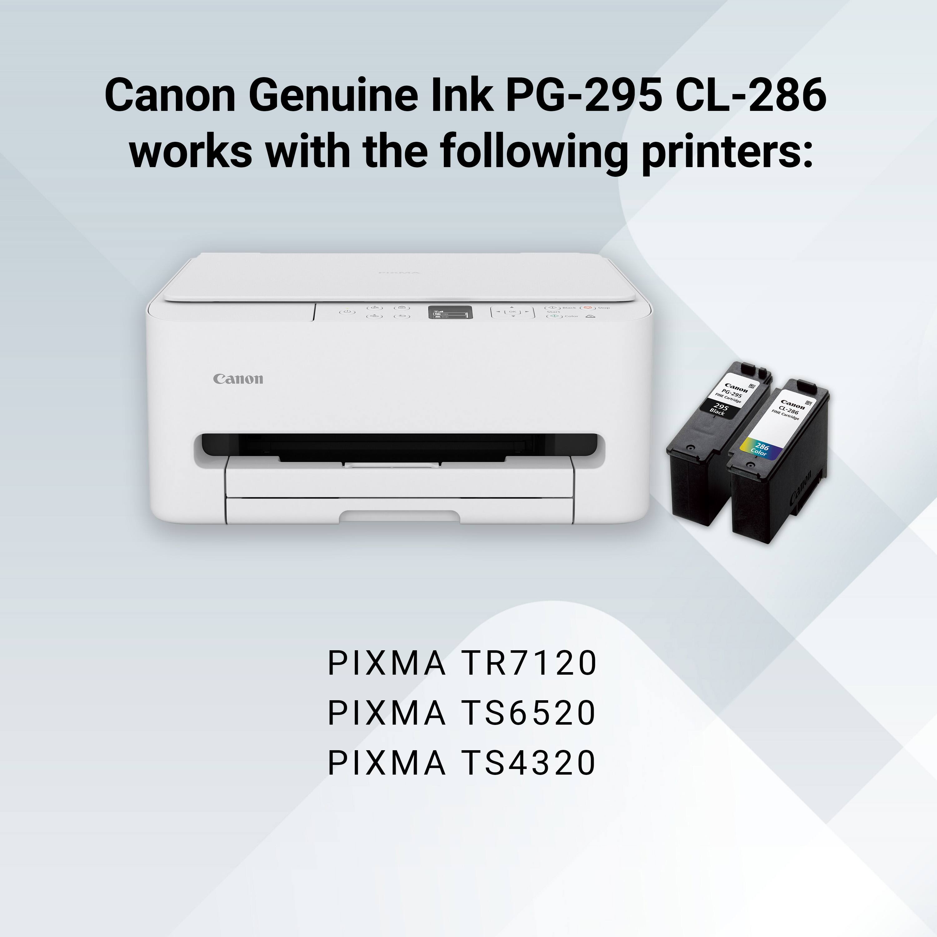 Canon Genuine Ink PG-295 CL-286 works with the following printers:

- PIXMA TR7120
- PIXMA TS6520
- PIXMA TS4320