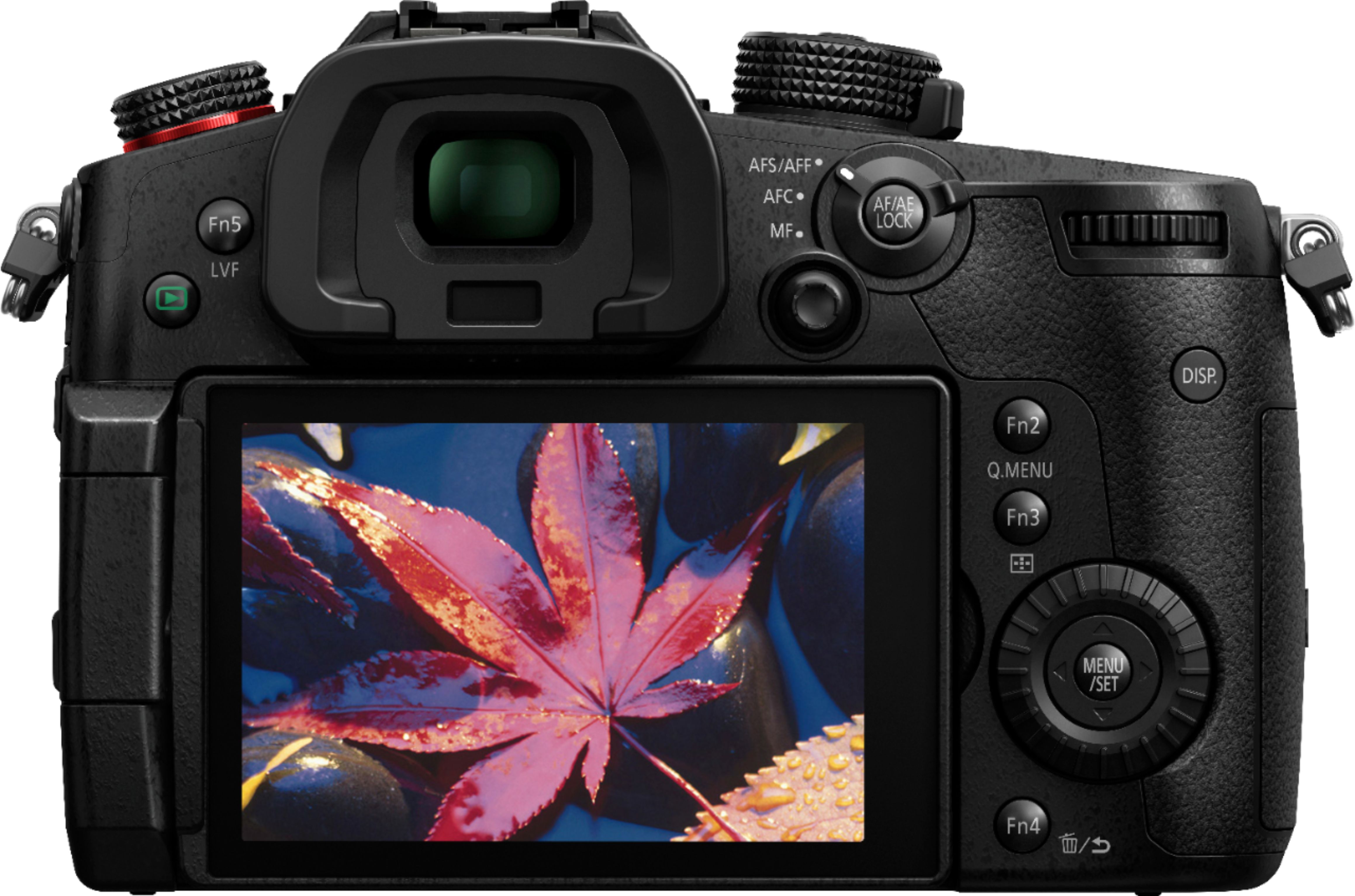 tentoonstelling Gestaag Spanje Panasonic LUMIX GH5S Mirrorless 4K Photo Digital Camera (Body Only) Black  DC-GH5S - Best Buy