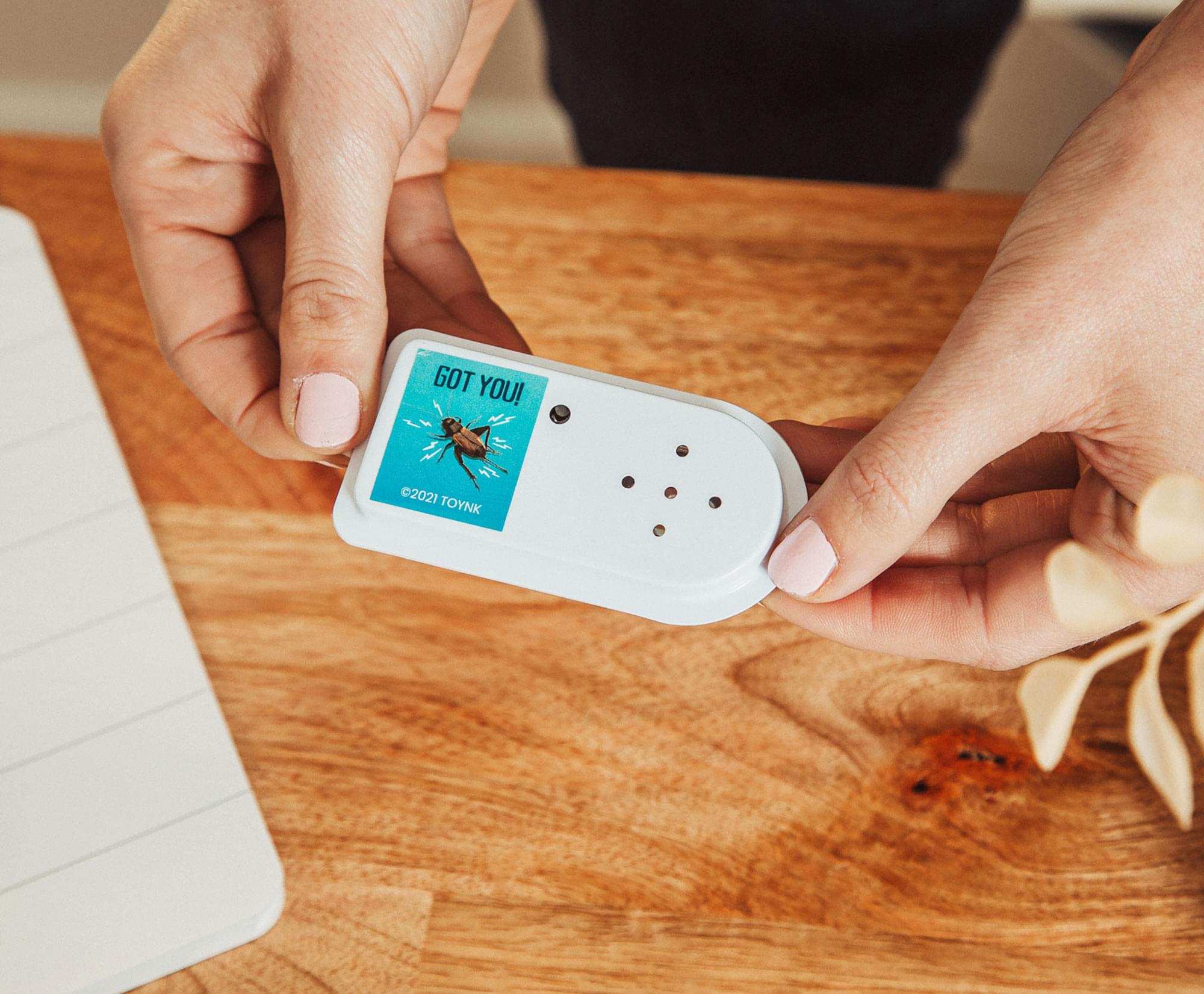 GOT YOU!  
2021 TOYNK