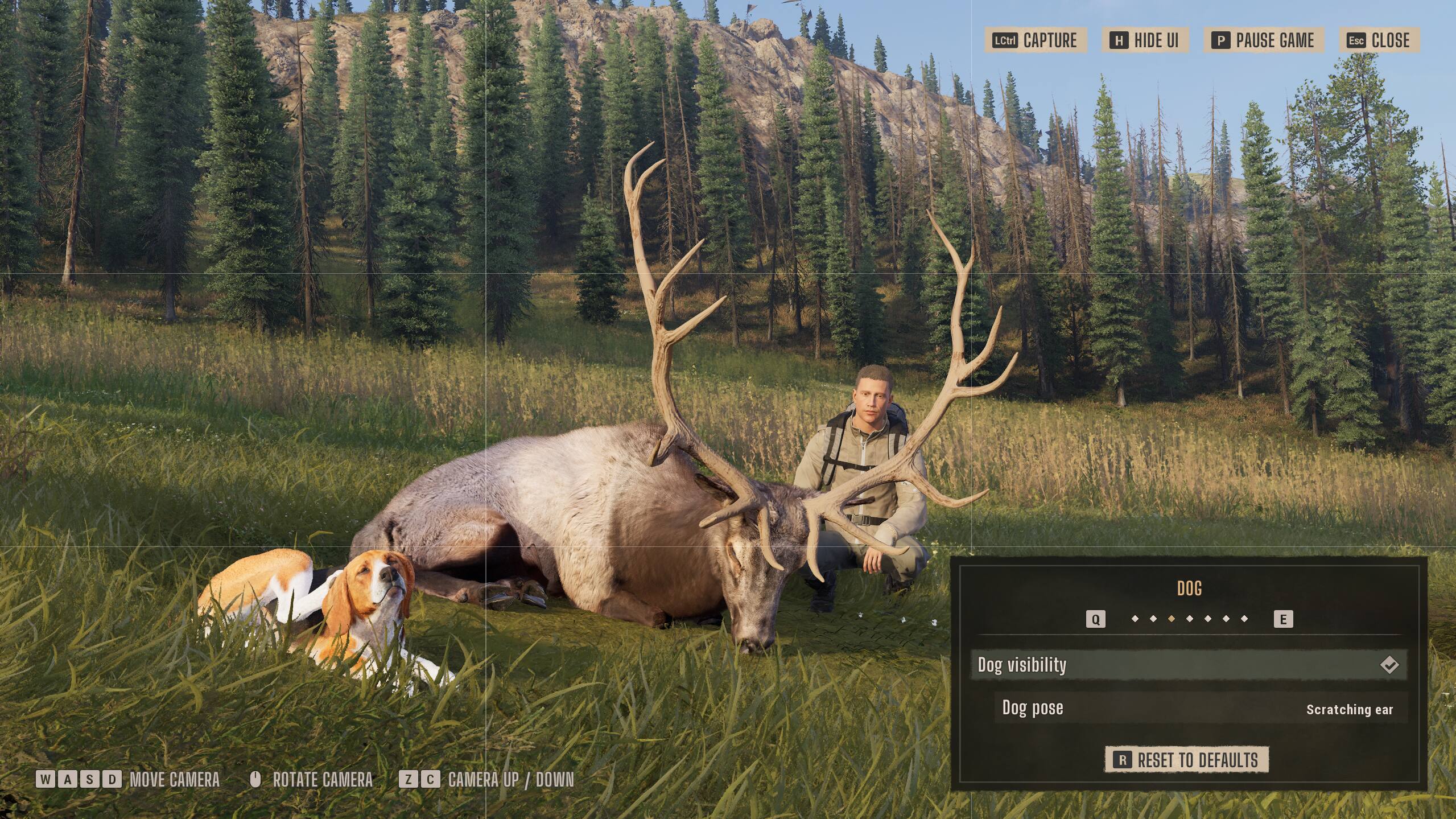 LCtri CAPTURE H HIDE UI P PAUSE GAME Esc CLOSE DOG Q E Dog visibility Dog pose Scratching 169 W A S D MOVE CAMERA ROTATE CAMERA 7 C CAMERA UP / DOWN R RESET TO DEFAULTS