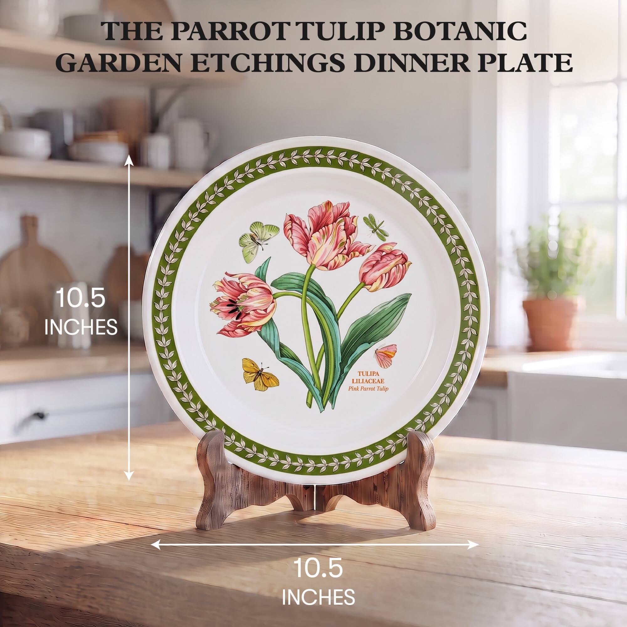 THE PARROT TULIP BOTANIC GARDEN ETCHINGS DINNER PLATE

10.5 INCHES

TULIPA LILIACEAE Pink Parrot Tulip

10.5 INCHES