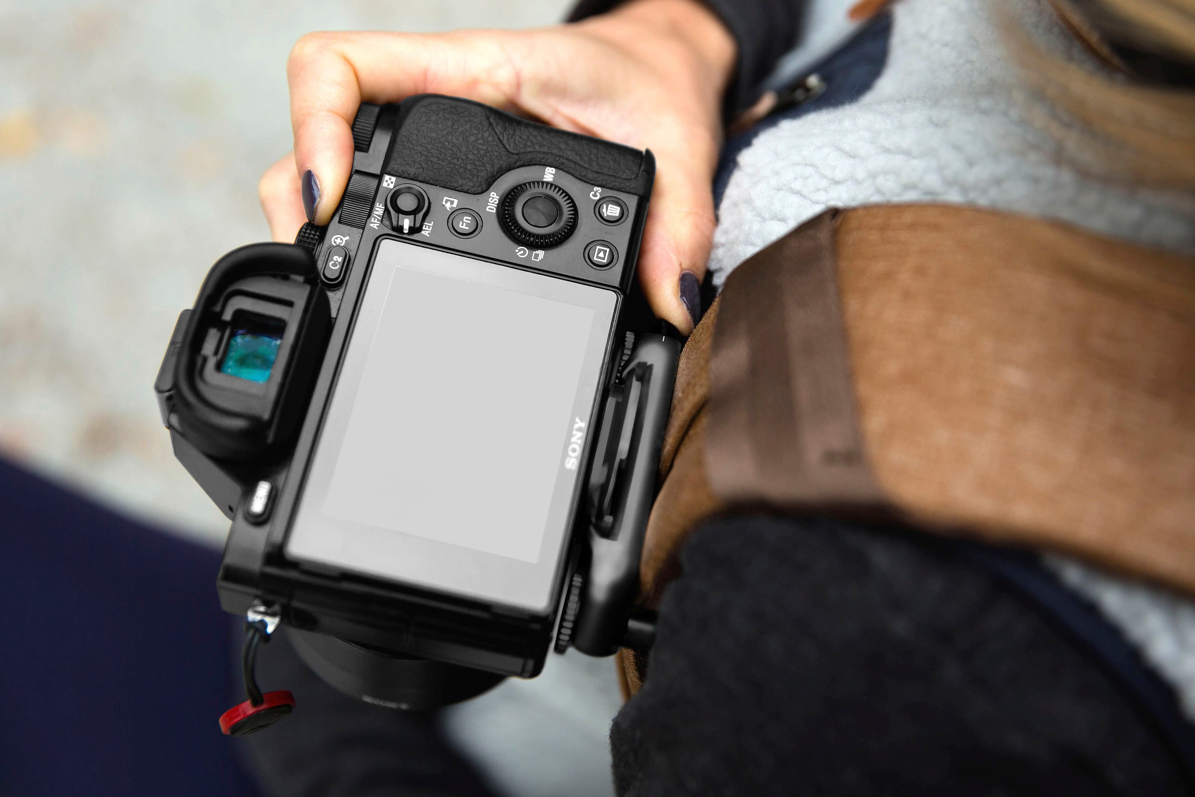 C2 8g AF/MF ! AEL Fn DISP WB Ca o a I SONY I 0000