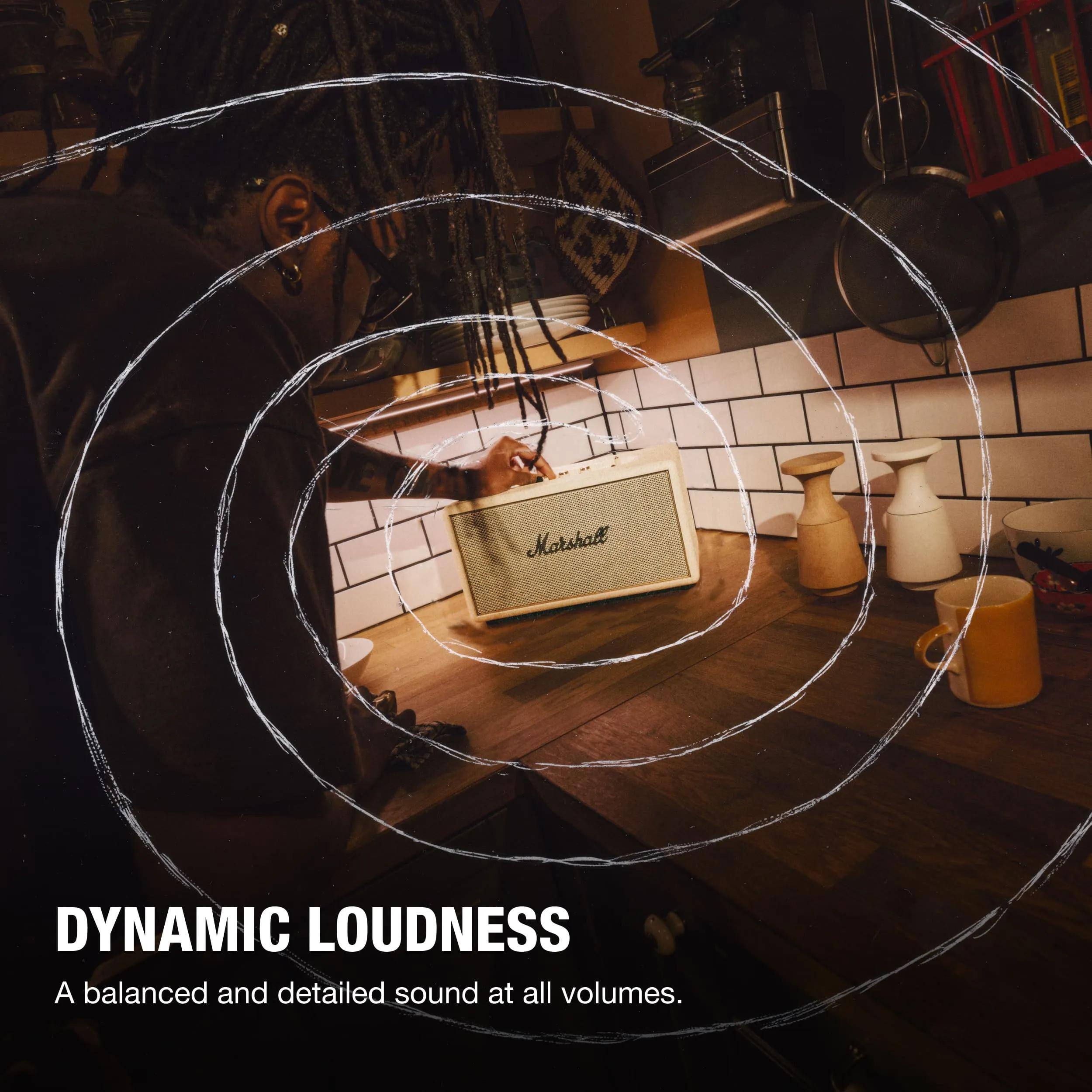 DYNAMIC LOUDNESS  
A balanced and detailed sound at all volumes.