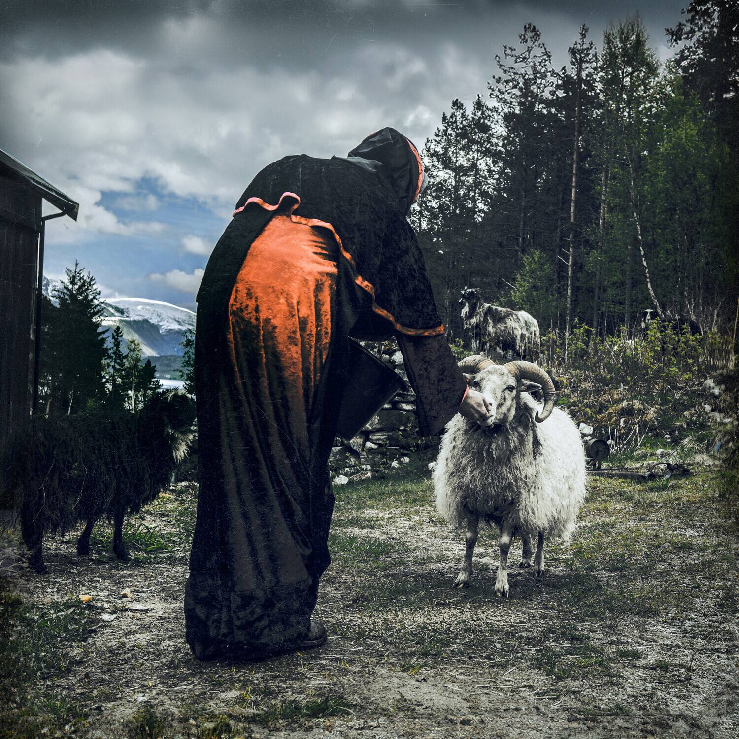 Slagmaur - Hulders Ritual   - COMPACT DISCS [CD] price history on PriceWatchPro
