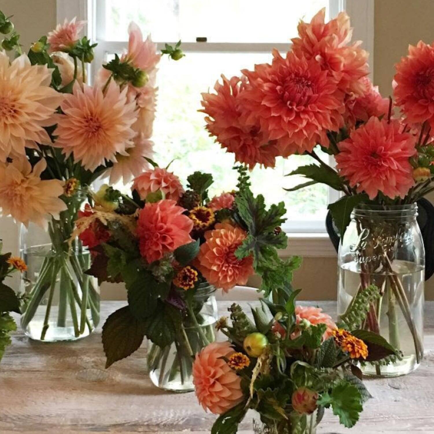 Alt View 3. Le Parfait - Screw Top Jar - 3L Wide Mouth French Glass Canning Jar w/ 2-Piece Gold Lid, 96oz/3 Quarts (Pack of 3).