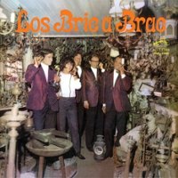 Los Bric a Brac [LP] - VINYL - Front_Zoom