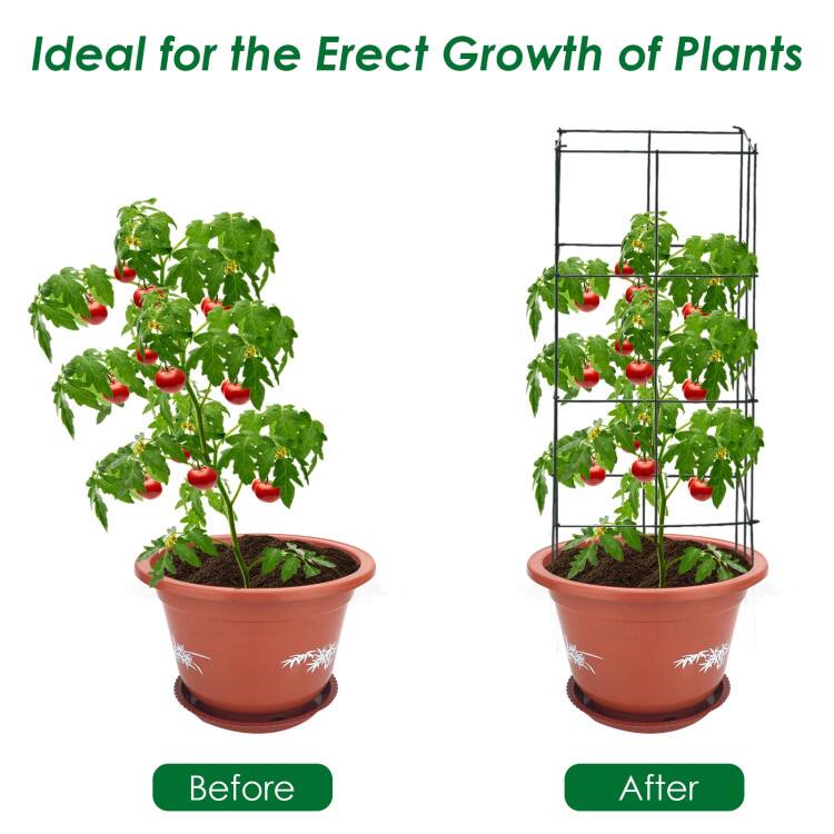 Ideal for the Erect Growth of Plants  
Before  
After