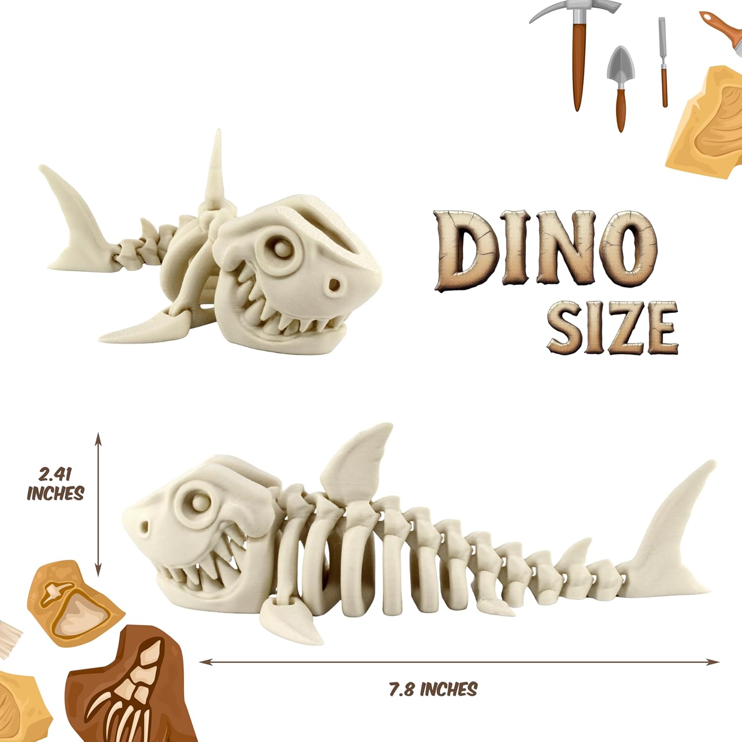 DINO SIZE  
2.41 INCHES  
7.8 INCHES