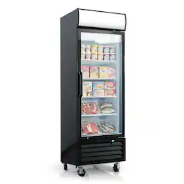 WHALL - 19.3 Cu.Ft Commercial Glass Door Freezer, Upright Merchandiser, Auto Defrost, LED Light, ETL Certified - Black
