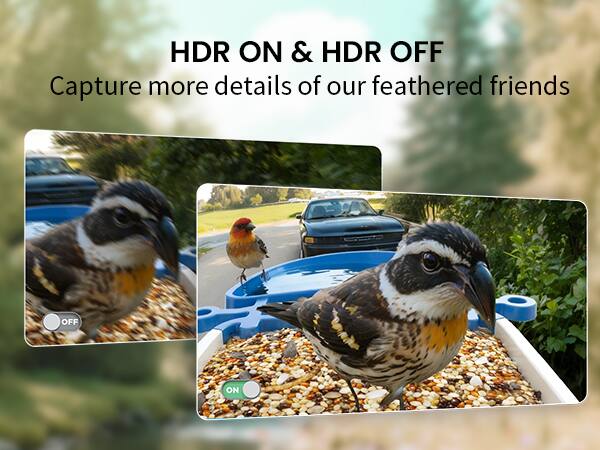 HDR ON & HDR OFF  
Capture more details of our feathered friends
