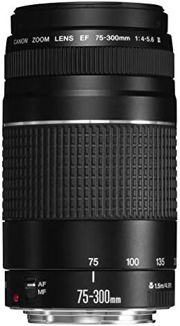 CANON ZOOM LENS EF 75-300mm 1:4-5.6 II

75 100 135

75-300mm

AF MF

1.5m/4.9