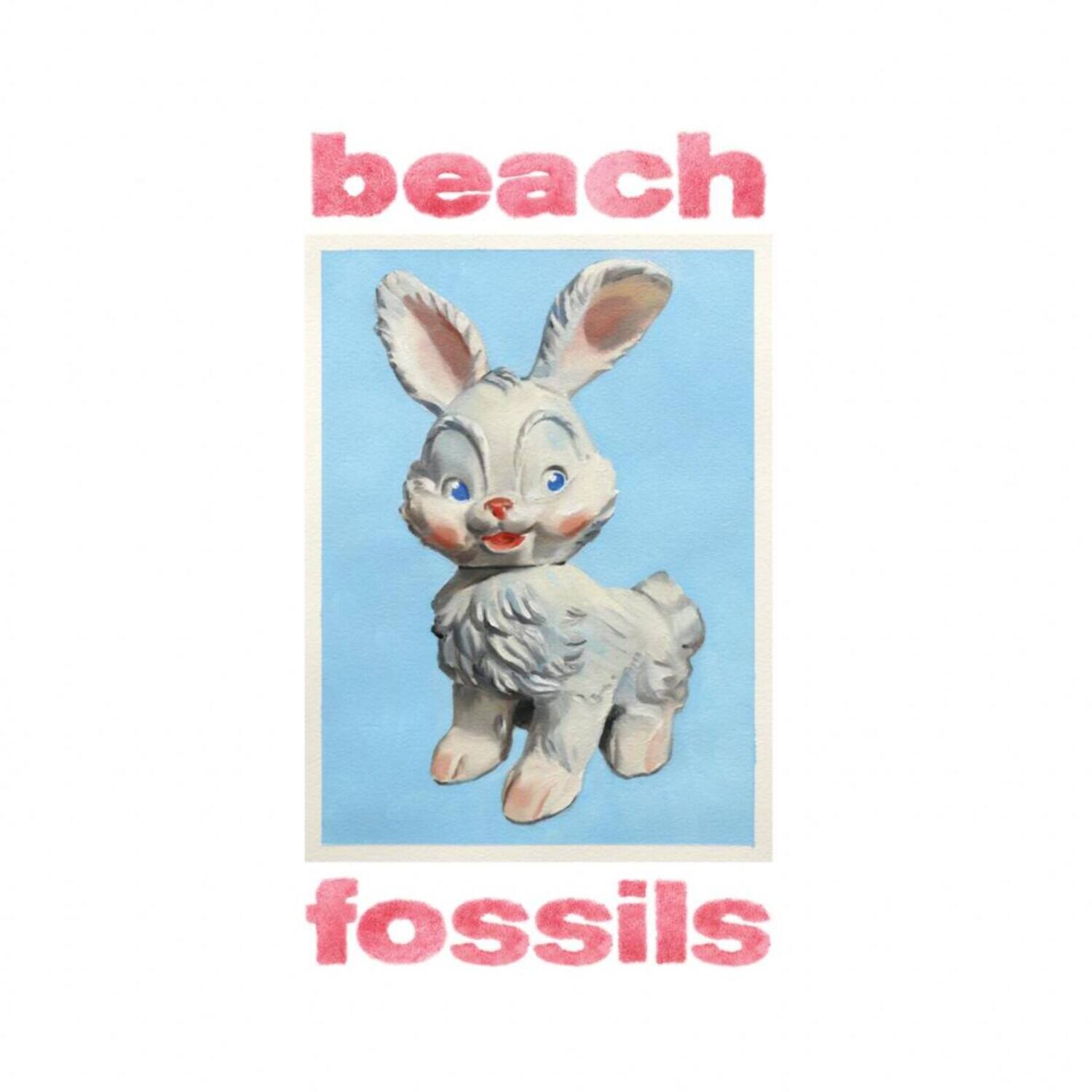 beach  
fossils