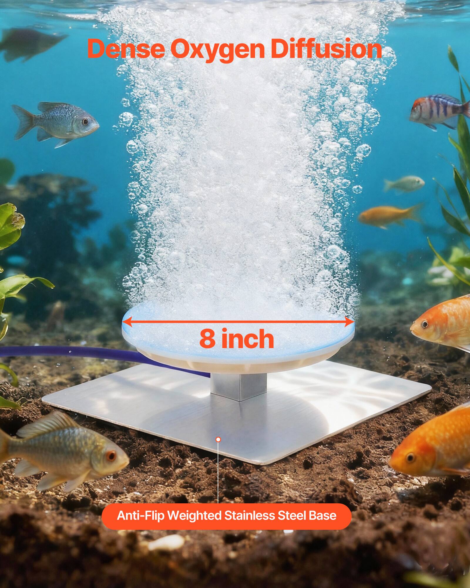 Dense Oxygen Diffusion  
8 inch  
Anti-Flip Weighted Stainless Steel Base