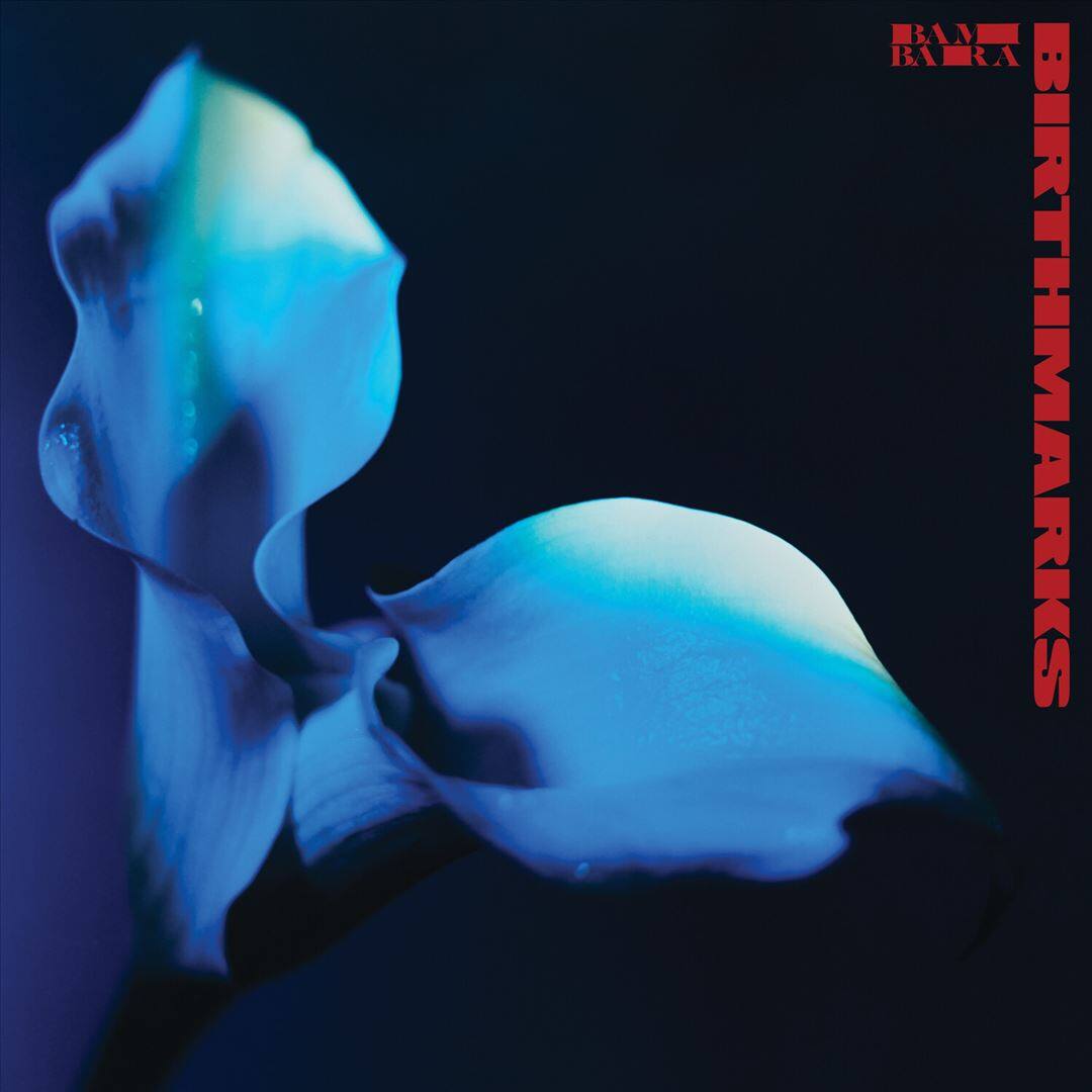 Front. Birthmarks [LP].