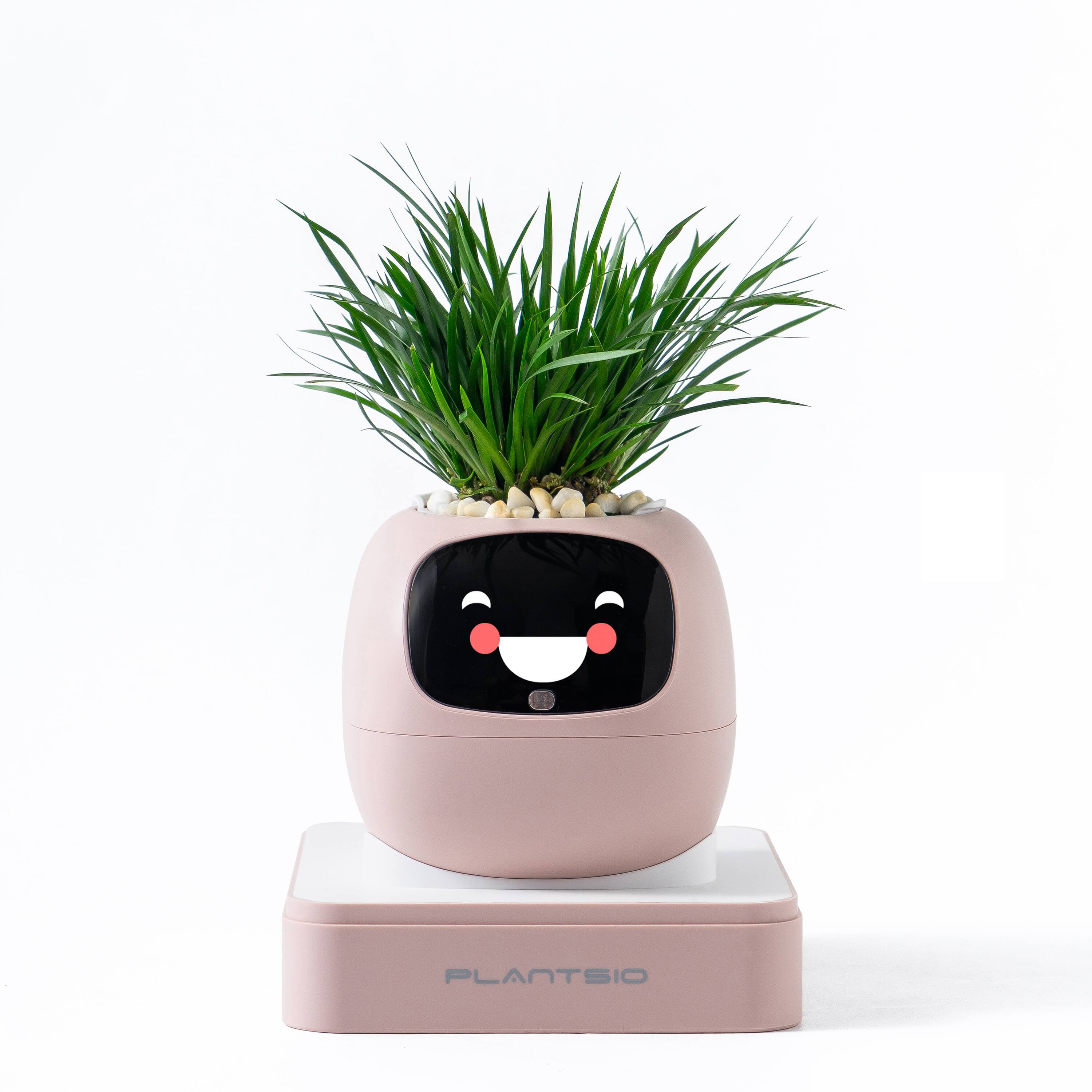PlantsIO - Ivy Gen 2 Smart Planter-PINK