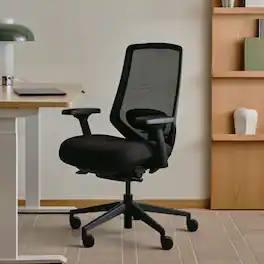 Branch Furniture - Ergonomic Chair Pro – Premium Office Seating with 7 Points of Adjustment & Dynamic Lumbar Support - Black / Black