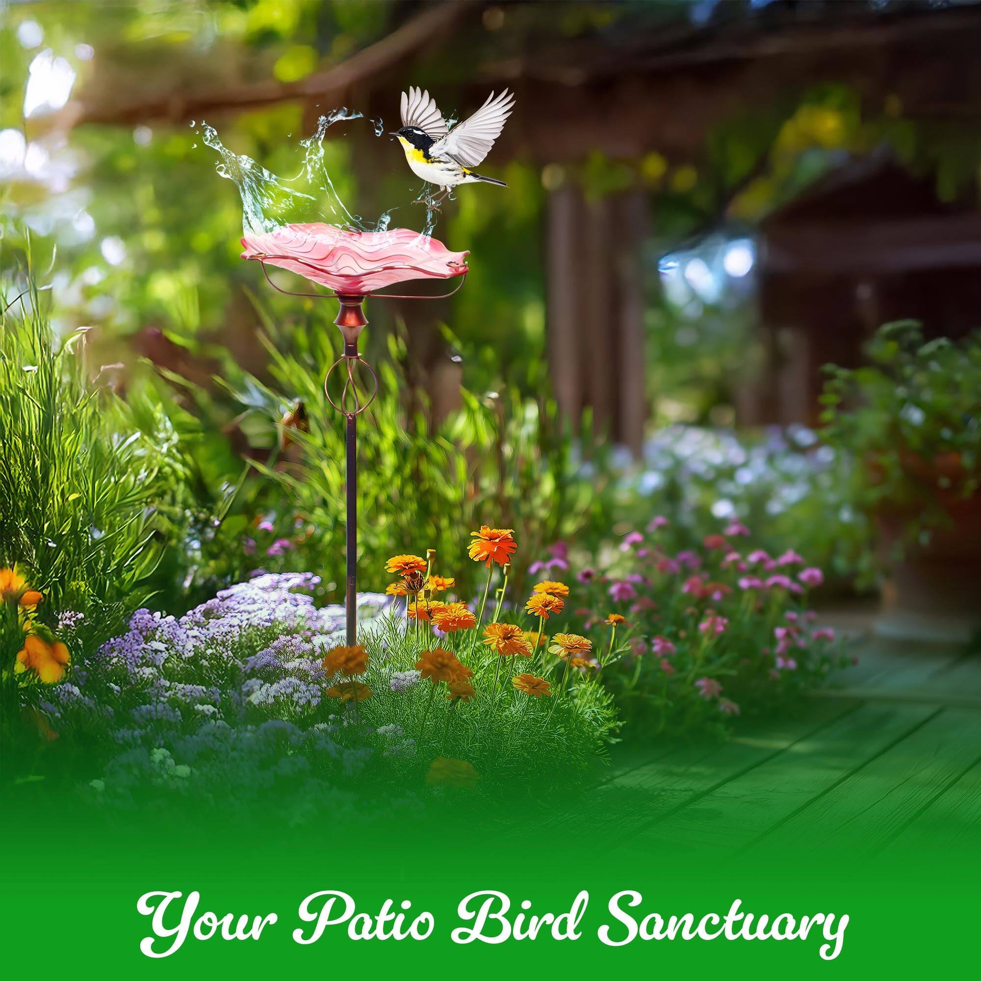 Your Patio Bird Sanctuary