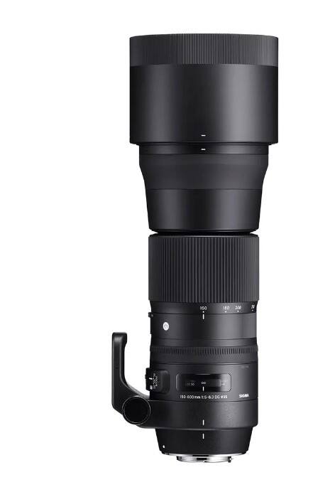 Sigma 150 600mm F5 6.3 Sports DG OS HSM & TC 1401 for Nikon Black