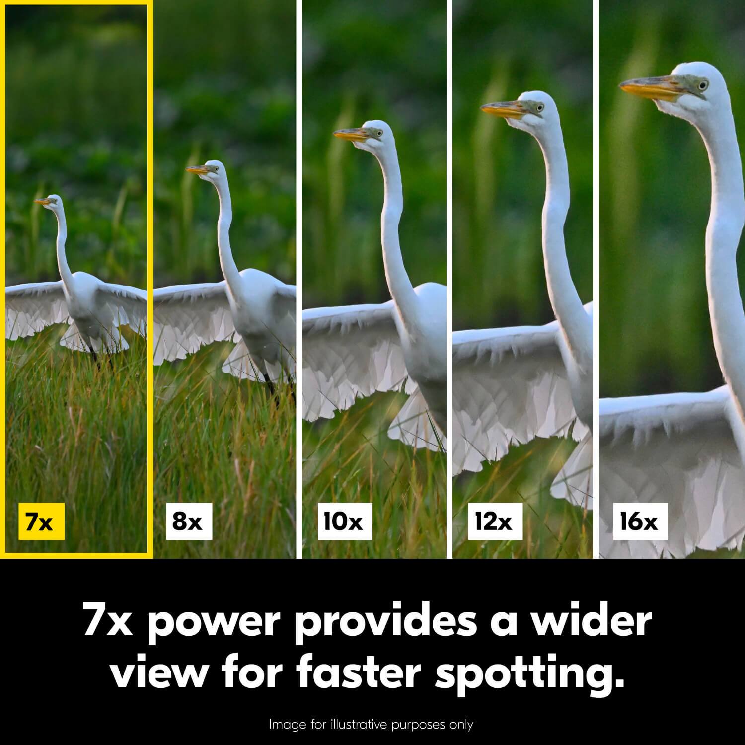 7x 8x 10x 12x 16x

7x power provides a wider view for faster spotting.

Image for illustrative purposes only