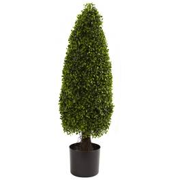 BreeBe - 3' Boxwood Tower Top UV Resist w/419 Lvs (Indoor/Outdoor) - Green