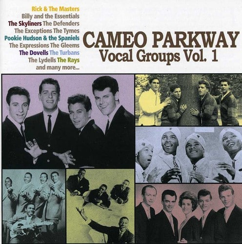 Various Artists - Remember Me Baby - Cameo Parkway Vocal Groups, Vol. 1   - COMPACT DISCS [CD] price history on PriceWatchPro