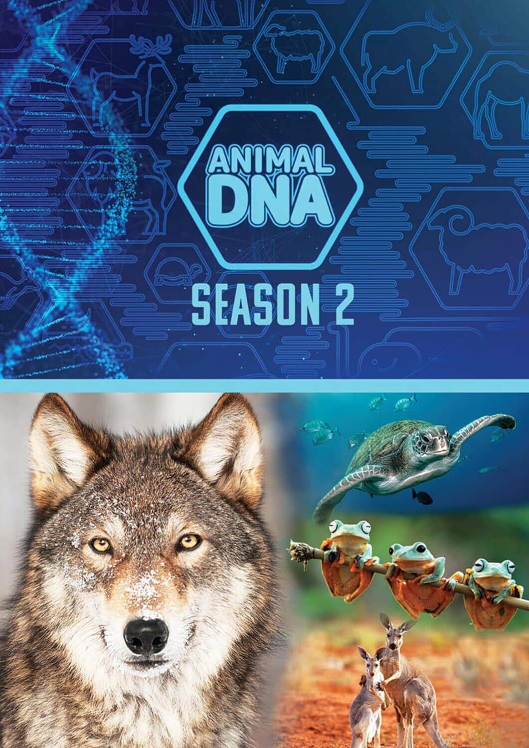 Animal DNA: Season Two  - DVD