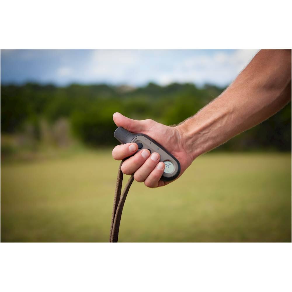 Best Buy Garmin Delta Sport XC Handheld 0100147011